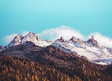 v站-国足选帅要求不超过60岁 必须即插即用